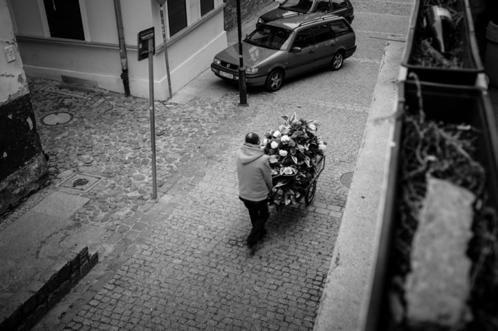 Nice. The guy finishing his work - pushing the handcart with flowers