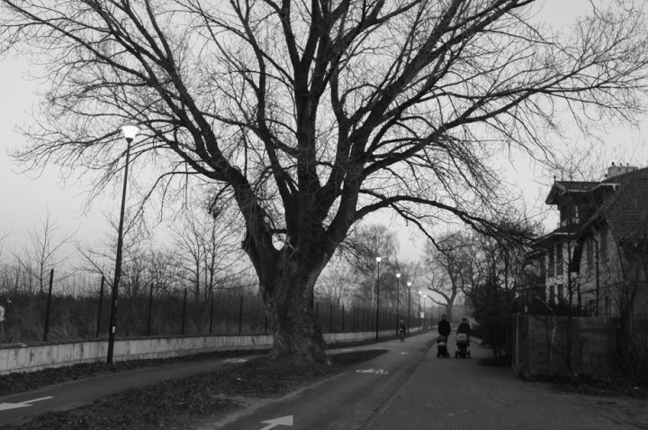 sidewalk along the sea shore. View towards New Port (Gdańsk Nowy Port district)