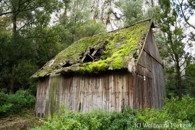 ‘Two Sheds Jackson’