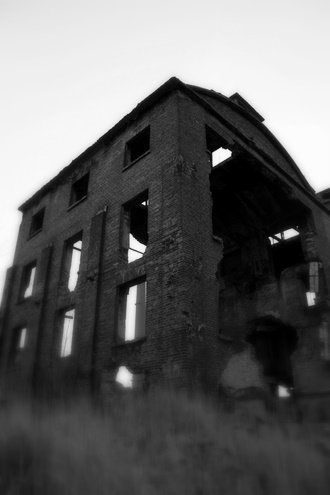 Souvenir from the Cellulose