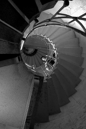 Schnecke – Siegessäule Eingeweide