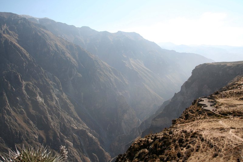 processing Cruz del Condor
