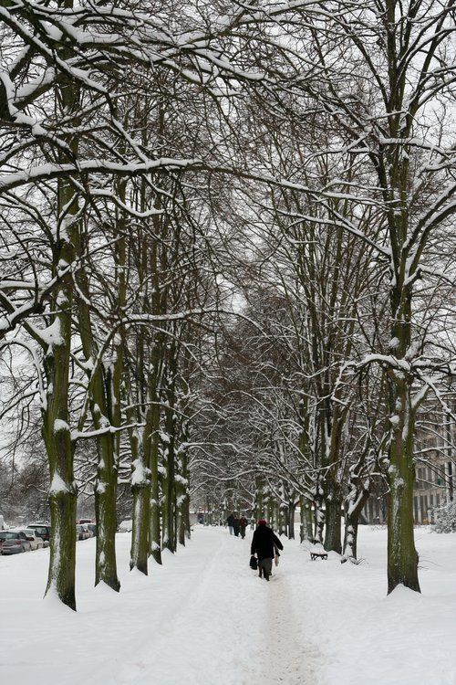 Winter in Warsaw