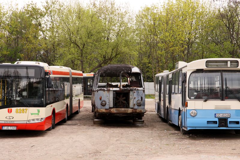 Gdańsk’s Buses