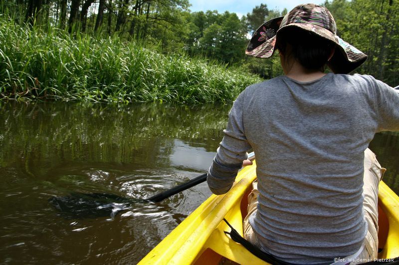 Canoeing – Piława