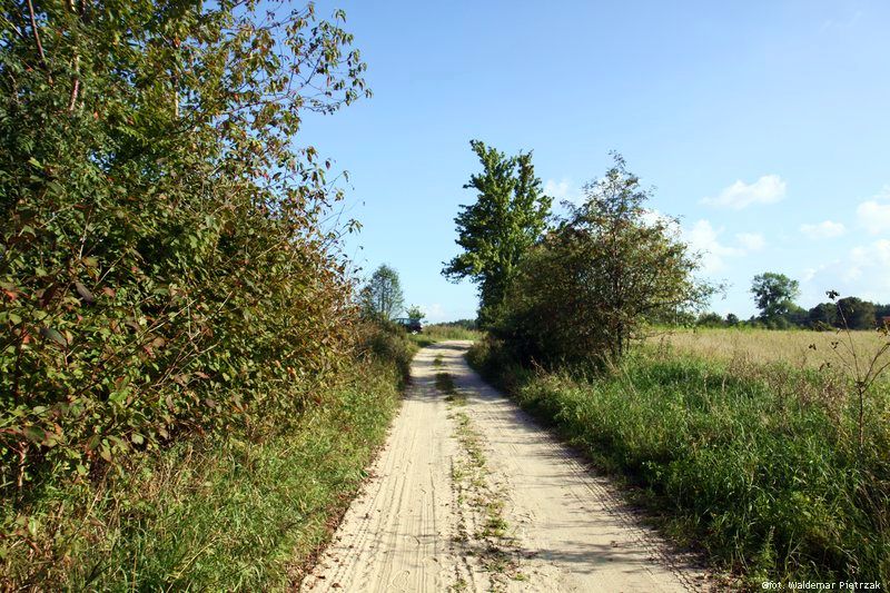 Warmia: Chojnowo, Sokolnik