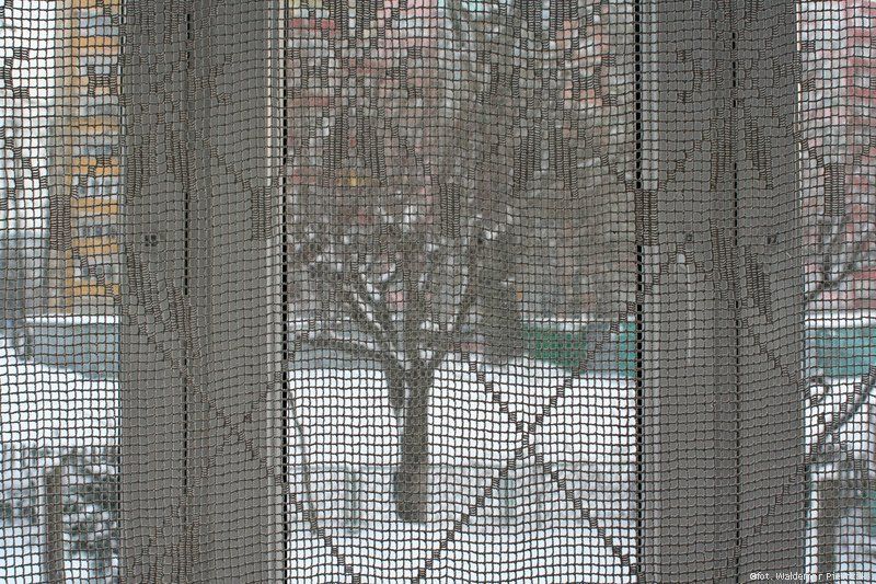 Random photos from Gdańsk