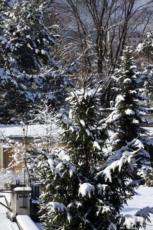 Window view – Winter again