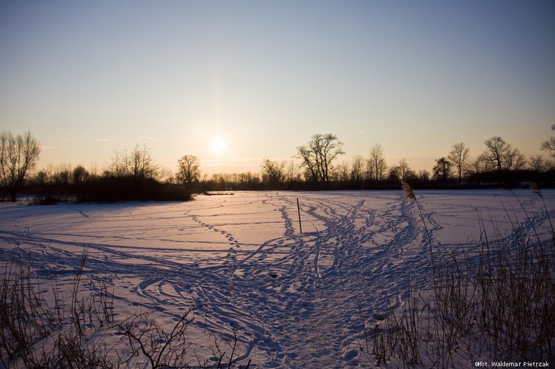 Frozen Lake