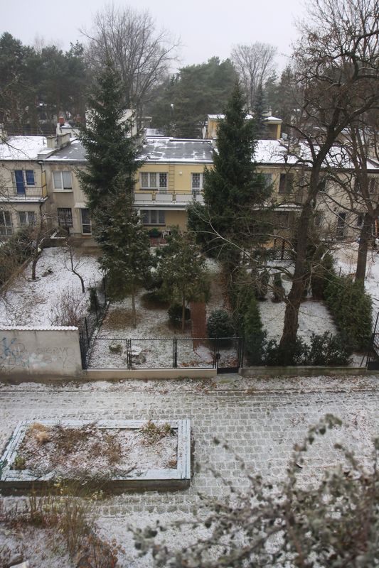 First snow this year… (Seasons from the window)