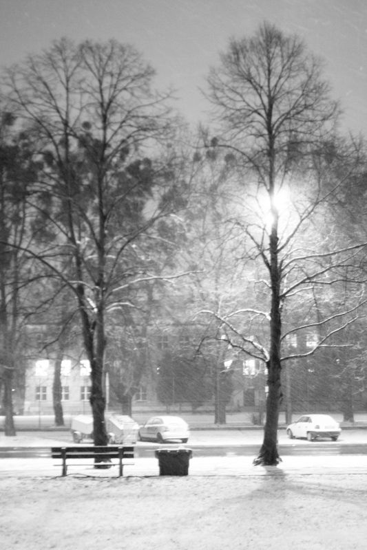 Finally it’s snowing…