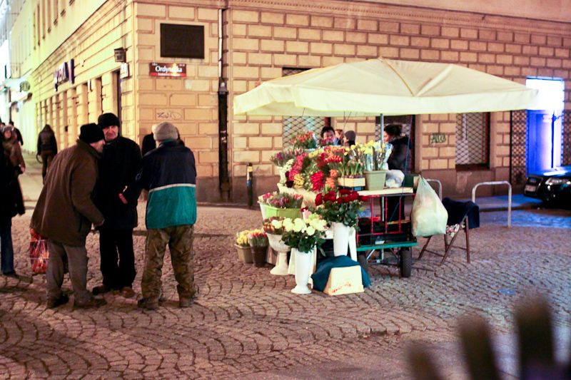 Flowers – Nowy Świat