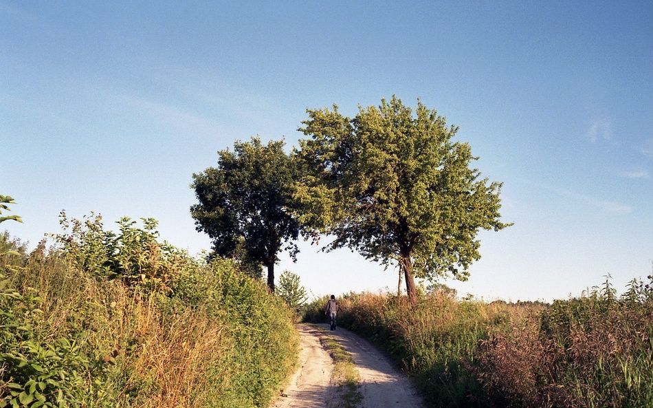 Landscapes of Warmia