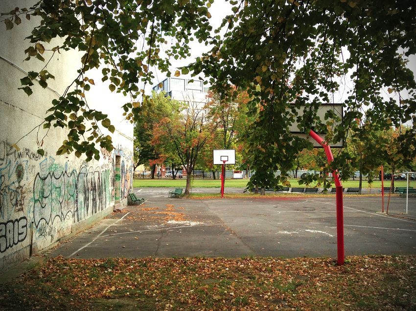 Autumn basketball court