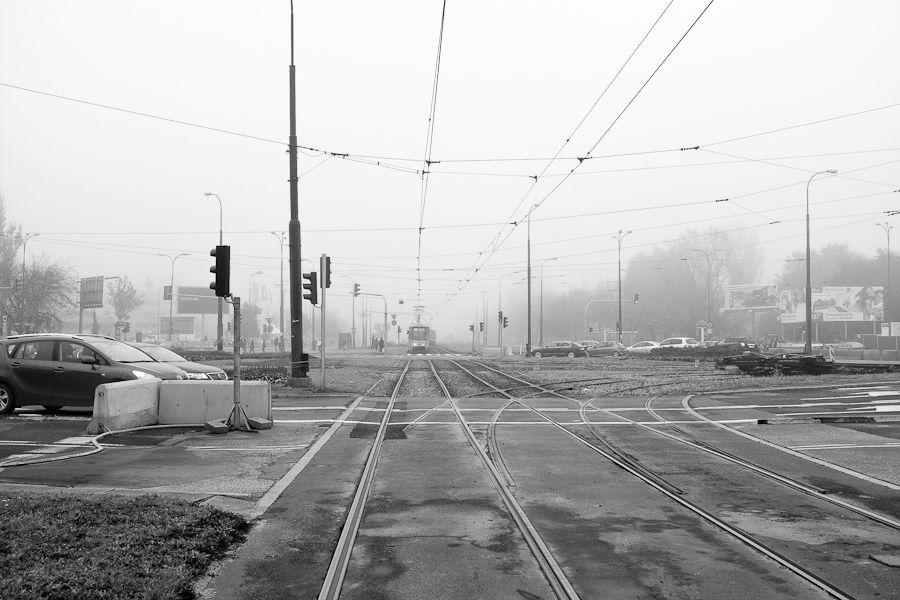 Foggy Warsaw, Trams