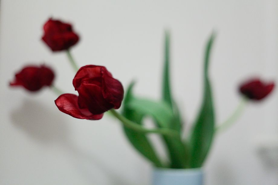 New toy. EOS 5D Mark II