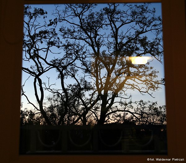 shipyard from the train